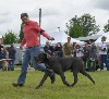  - Résultats CACIB - Spéciale de race AUCH